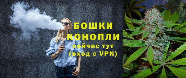 бошки Бородино
