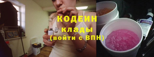 бошки Бородино