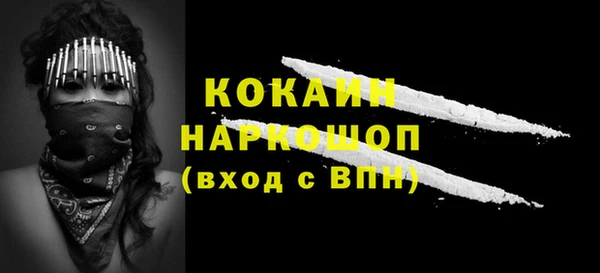 бошки Бородино