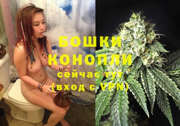 бошки Бородино