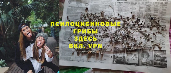 бошки Бородино