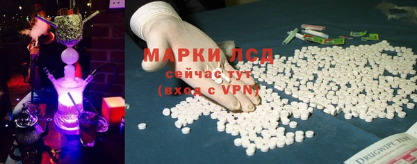 бошки Бородино