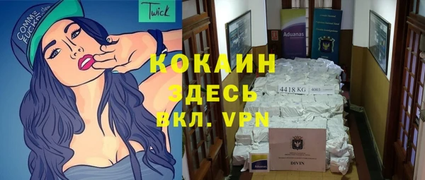бошки Бородино